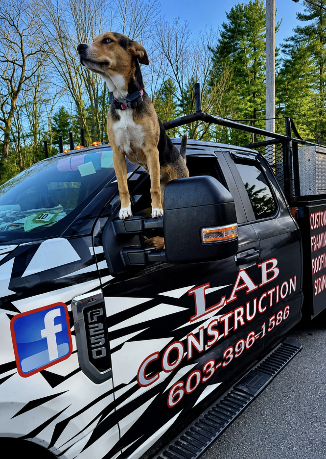 LAB Construction pickup truck with the company dog in the window