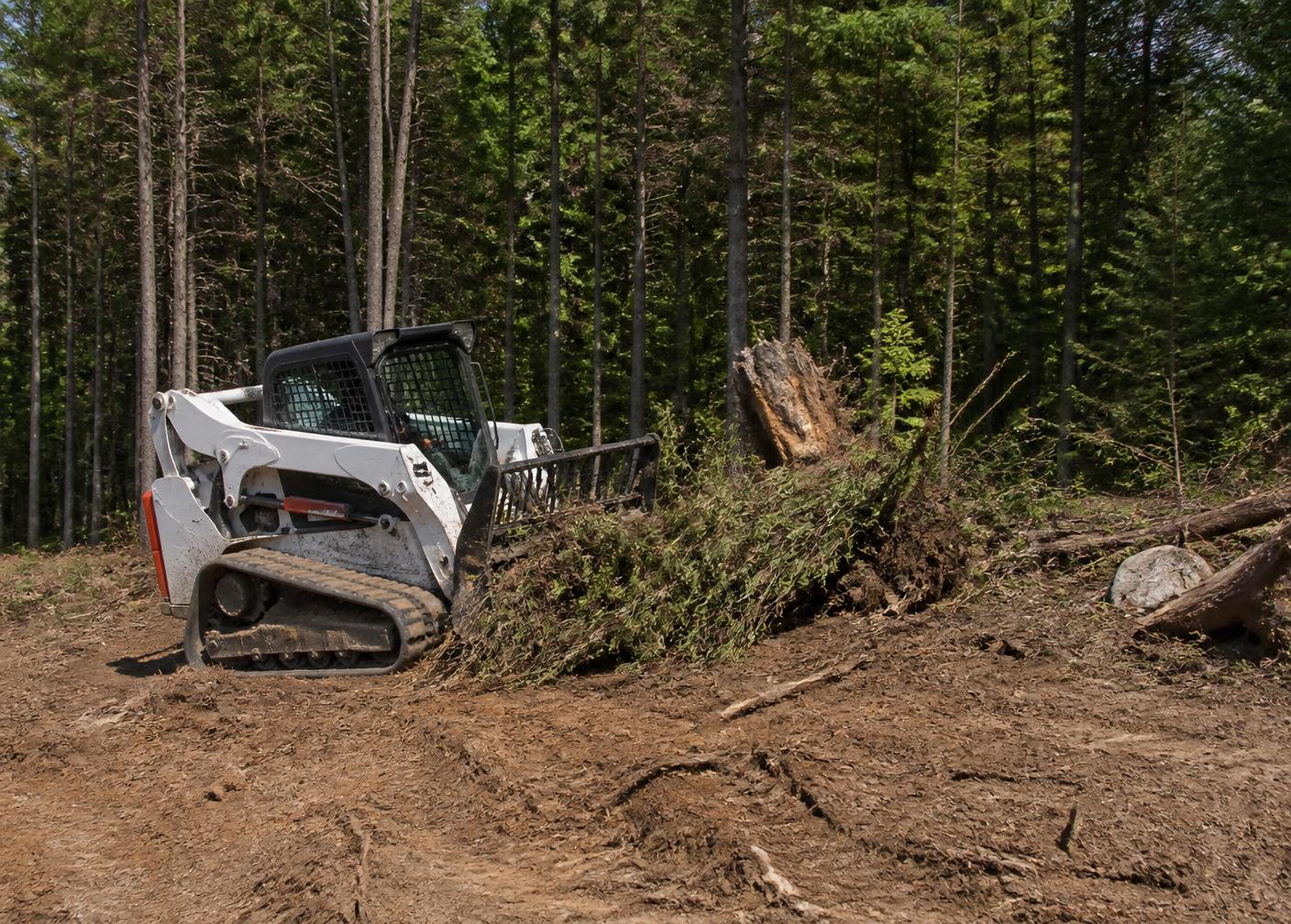 Land Clearing & Site Prep